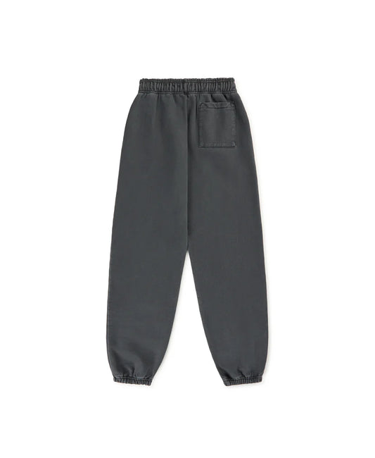 IRON GRAY SWEATPANTS