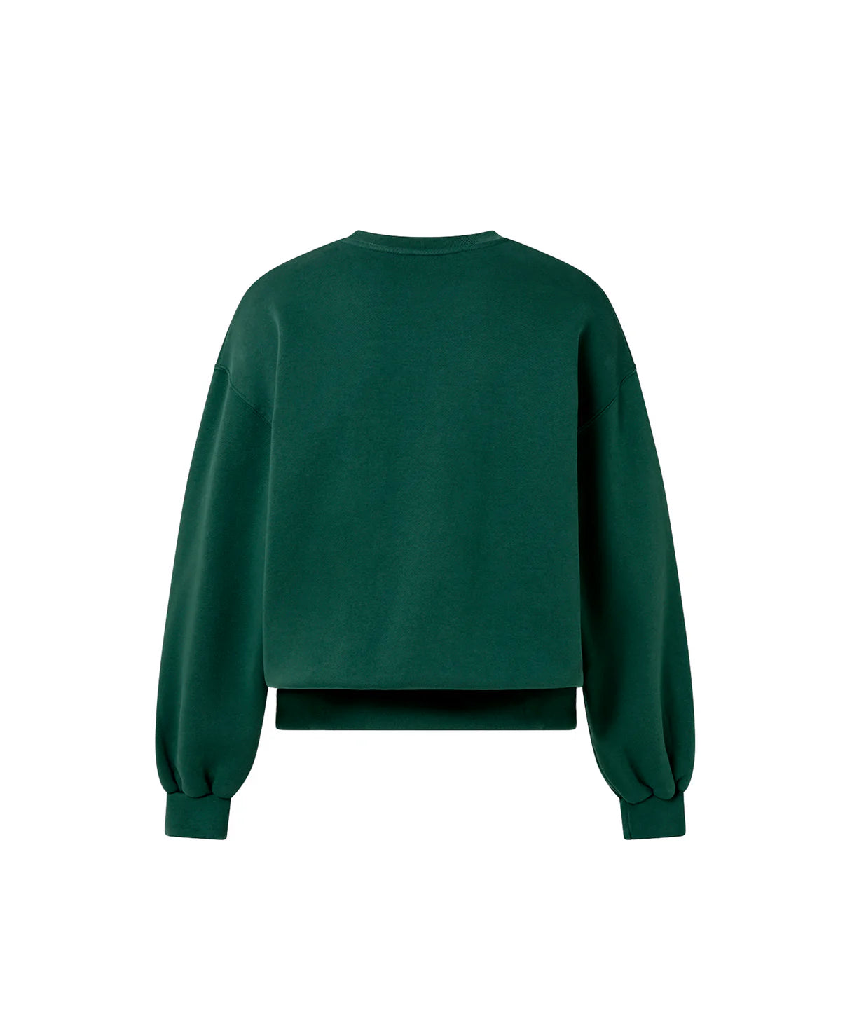 OVERSIZED OXFORD GREEN CREWNECK
